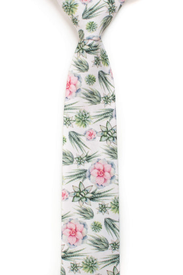 agave and succulent tie front view