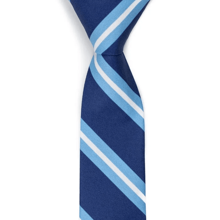 2WAY) Hudson stripe tie shirts
