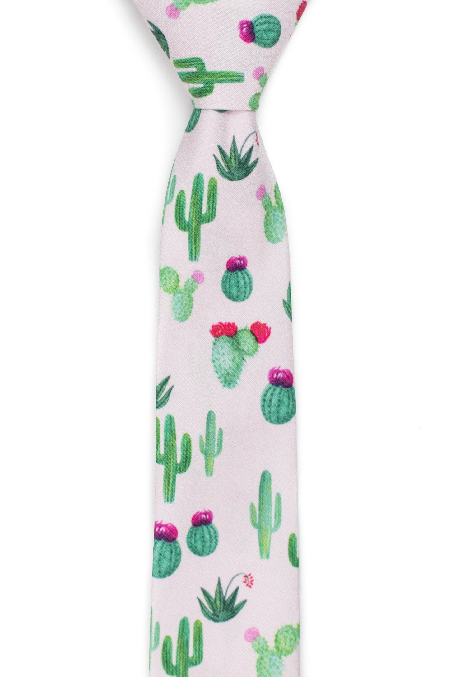 succulent necktie Oasis